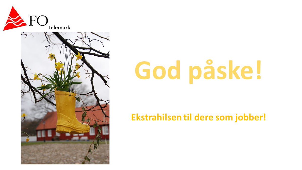 FoTelemark's tweet image. 