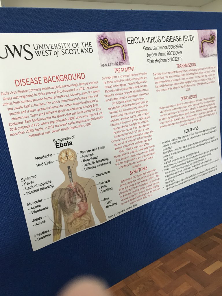 cummings_grant's tweet photo. Group 24 presenting our poster on Ebola!#ScientificInvestigation #uws https://t.co/h90eR9uGW7