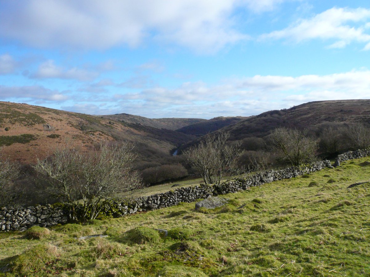 Dartmoor_MTMTE's tweet photo. New #Dartmoor Youth Engagement Ranger #job APPLY HERE: https://t.co/9nfPpc6Nw6 to combine #wildlife, #media, #engagement &amp; #education #hiring @dartmoornpa @HLFSouthWest @IndeedUK @CountrysideJobs @DevonWildlife @BBCNatureUK @job_centre_plus @JCPinDevon https://t.co/Ncb1jlXnpq
