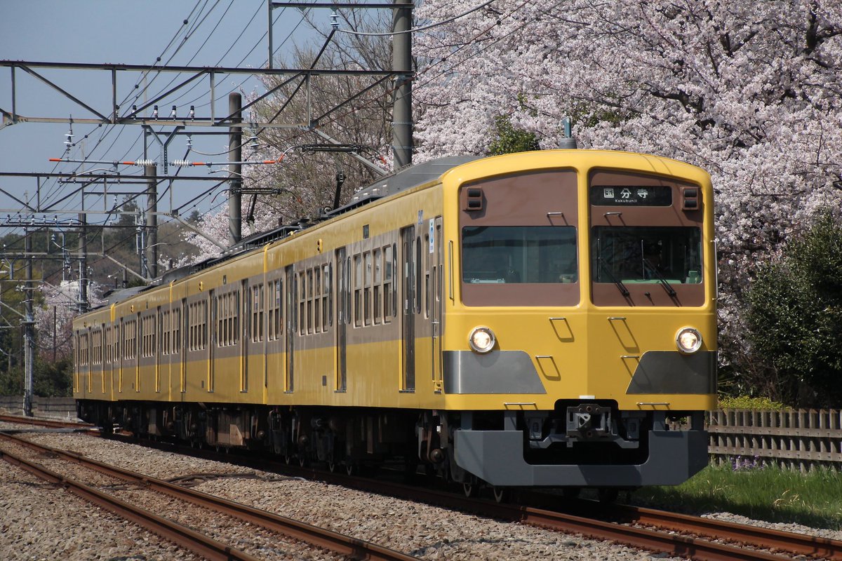 KisaragiRailway's tweet photo. 2018年3月28日
西武多摩湖線 撮影記録
新101系がツートンカラーになったとの事なので約二年ぶりに多摩湖線へ。桜と絡めたカットも撮れて満足です。 https://t.co/lSmss7TF1p