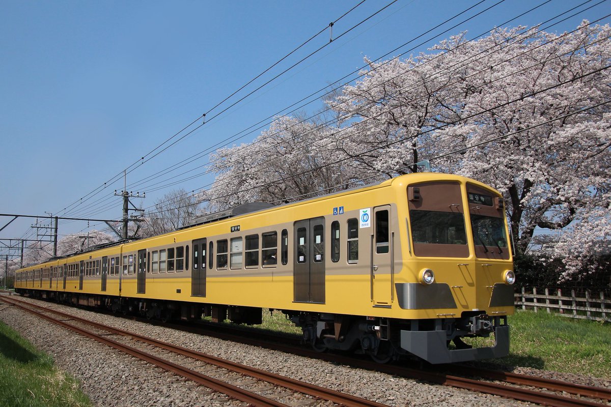 KisaragiRailway's tweet photo. 2018年3月28日
西武多摩湖線 撮影記録
新101系がツートンカラーになったとの事なので約二年ぶりに多摩湖線へ。桜と絡めたカットも撮れて満足です。 https://t.co/lSmss7TF1p