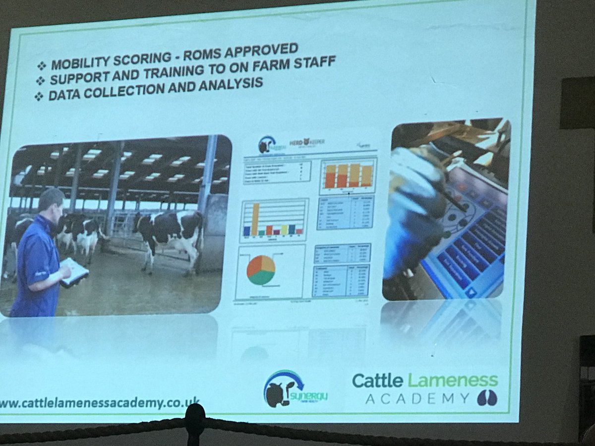 Jo Speed tweet media