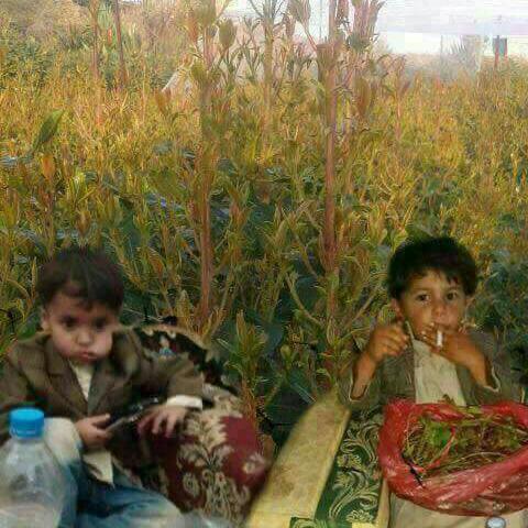احلام اليمنى (@rzmiqk8smpitdb0) on Twitter photo 