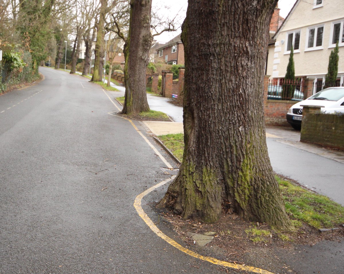 Surfacing irregularities are normal and it is acceptable within government endorsed guidance for highway authorities to work around important trees.  Well done Kingston Upon Thames for doing the right thing here in Surbiton.  #TreeTruths #SaveSheffTrees