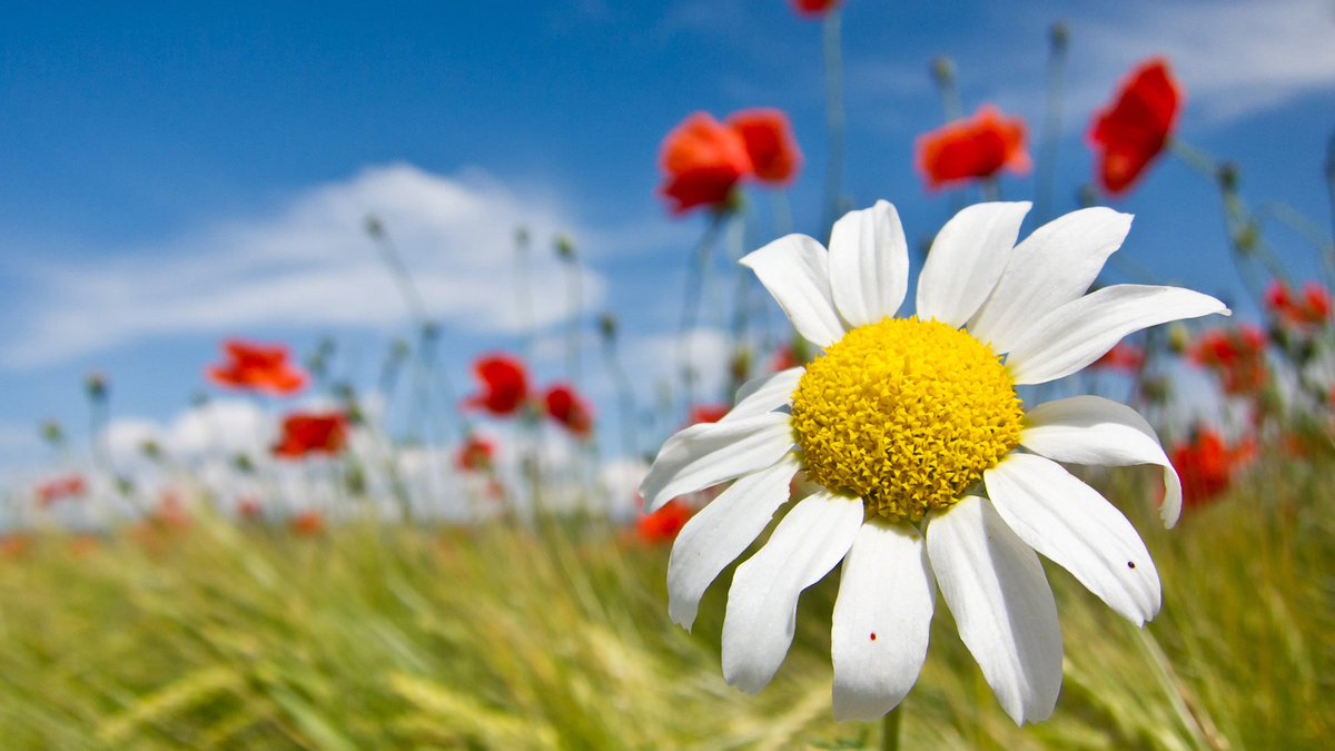 GlamdaParty's tweet photo. Voglia di stringersi e poi 
vino bianco, fiori e vecchie canzoni...

Venerdì 6 aprile vi aspettiamo a Largo venue per festeggiare l'arrivo della bella stagione ...
#Discomisto by Glamda | #maledettaprimavera
Info https://t.co/QaiL9rLVEl https://t.co/0aKcY5v5AS