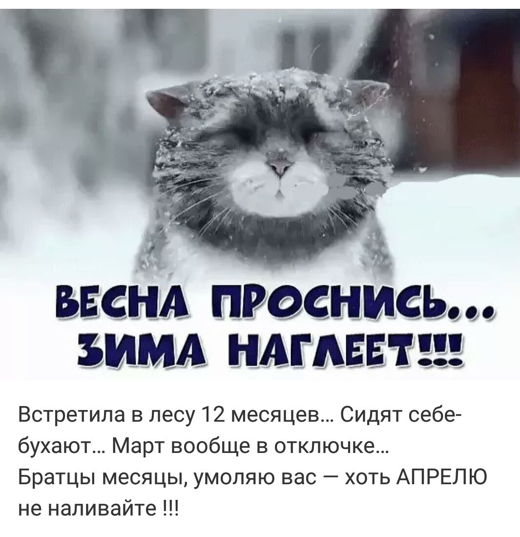Приколы про зиму и весну