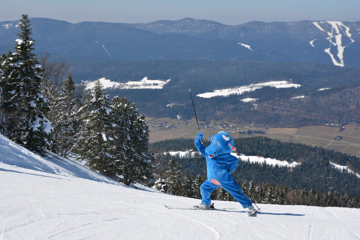 Lans-en-Vercors tweet media