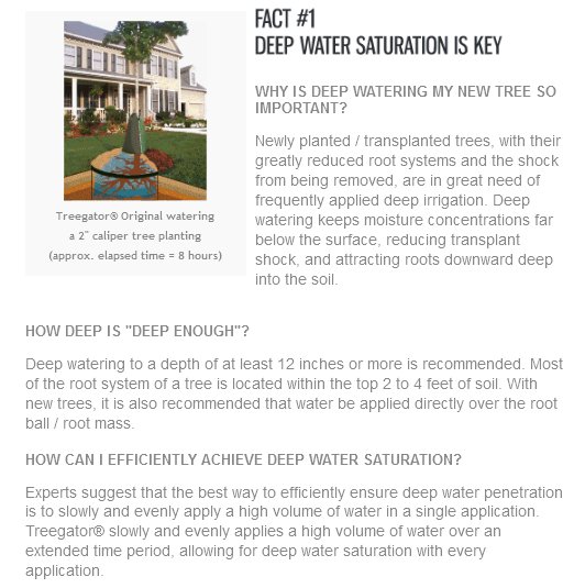 IntTreeExperts's tweet image. #TreeDiseaseDiagnosis #ArboristServices #TreePestControl