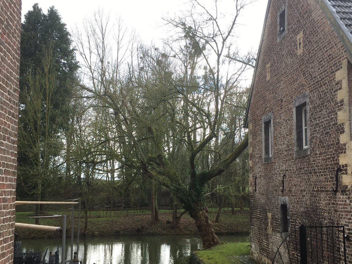 <a href="/HotelTerworm/">Kasteel TerWorm</a> en @Natuurmonument ontwikkelen en verzorgen samen levend landgoed Terworm in Heerlen voor natuur, cultuurhistorie, beleving en verblijf. Rijke historie, mooie toekomst.
