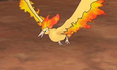 フォトクラブでポケモン図鑑 Twitterissa No 146 ファイヤー 伝説の鳥ポケモンのひとつ オレンジ色の燃えるようなハネが見る者を圧倒する 昔から火の鳥伝説として知られる 羽ばたく度に羽が明るく燃えあがりうつくしい T Co Olopdi2j3g Twitter