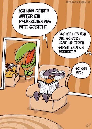 So gut wie..