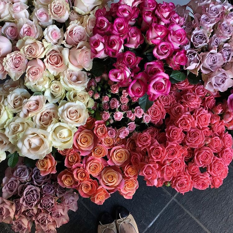 glowpetale's tweet image. 