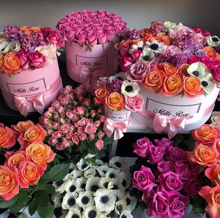 glowpetale's tweet image. 