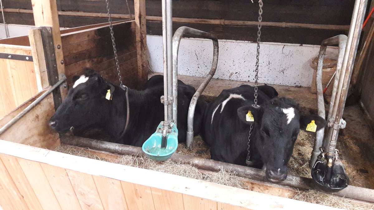 Zo dadelijk de opening van het gewijzigde Leidschehoevenpad #klompenpad met startpunt bij Natuureducatie <a href="/Leidschehoeven/">Leidsche Hoeven</a> in Tricht! Nu 11 km genieten! <a href="/SLGelderland/">Stichting Landschapsbeheer Gelderland</a>
