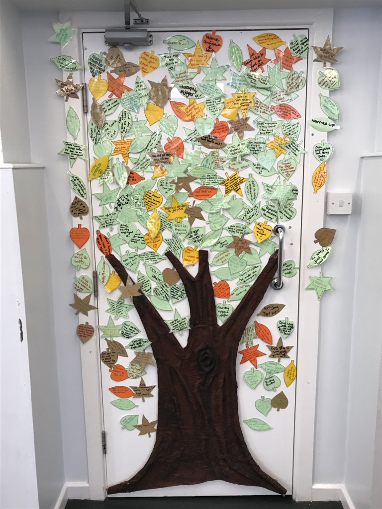LypftPMVA's tweet photo. #NewProfilePic Using @Safewards interventions in training, helping staff through role modelling, reducing first day nerves and anxiety through peer support. https://t.co/FpYvvidXyc