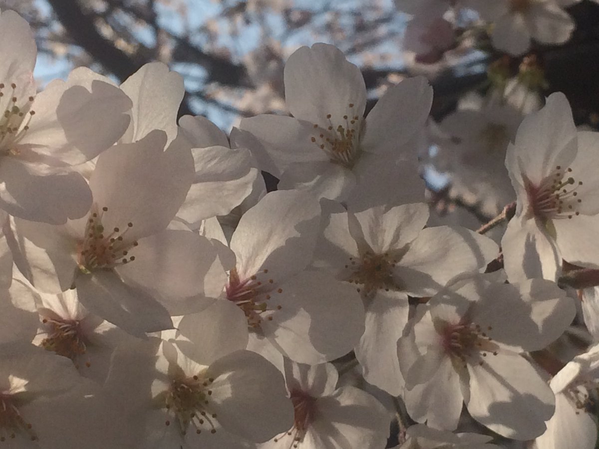 🤣HIRO🤣 tweet media