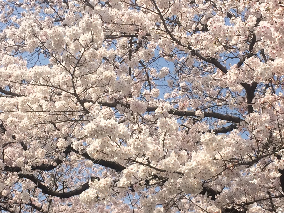 🤣HIRO🤣 tweet media