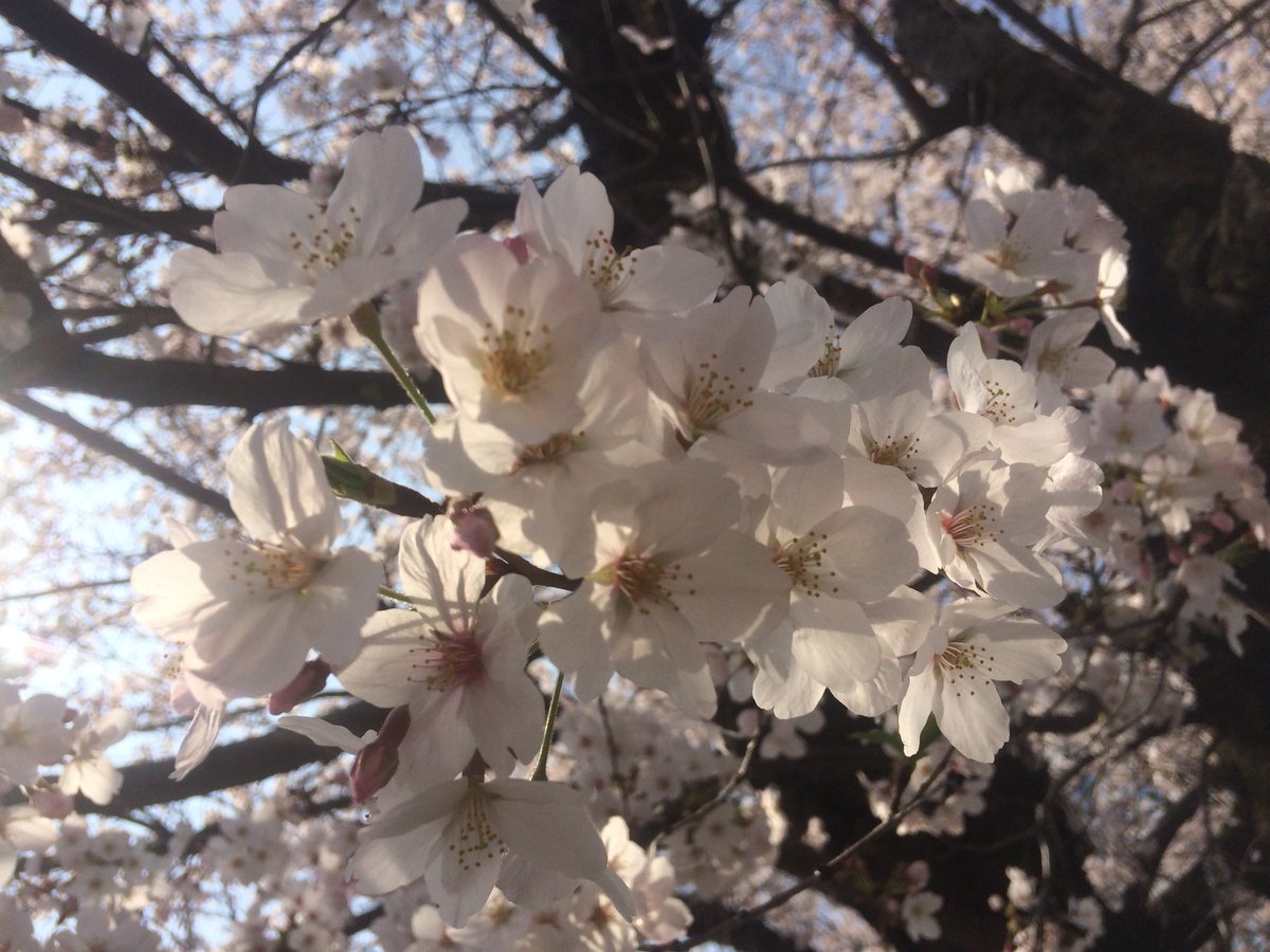 🤣HIRO🤣 tweet media