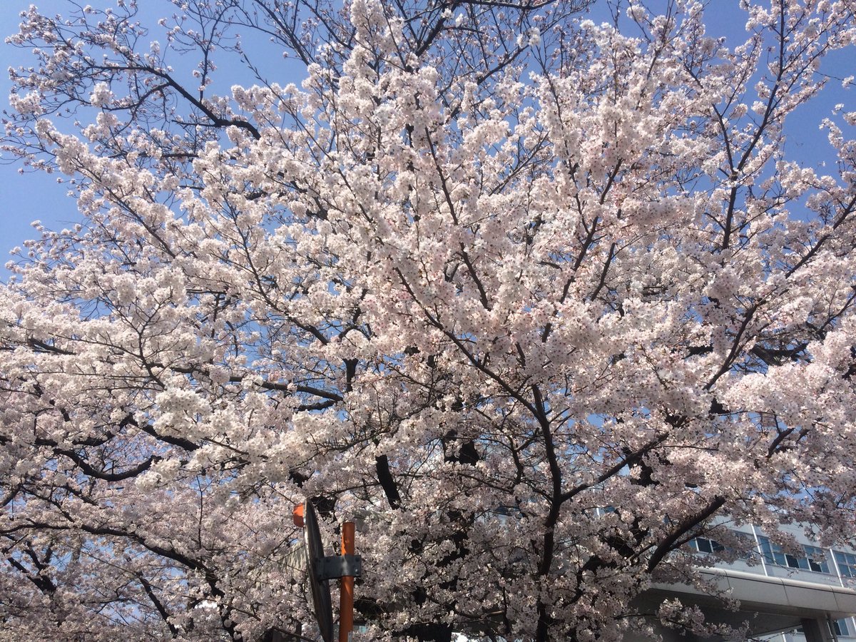 🤣HIRO🤣 tweet media