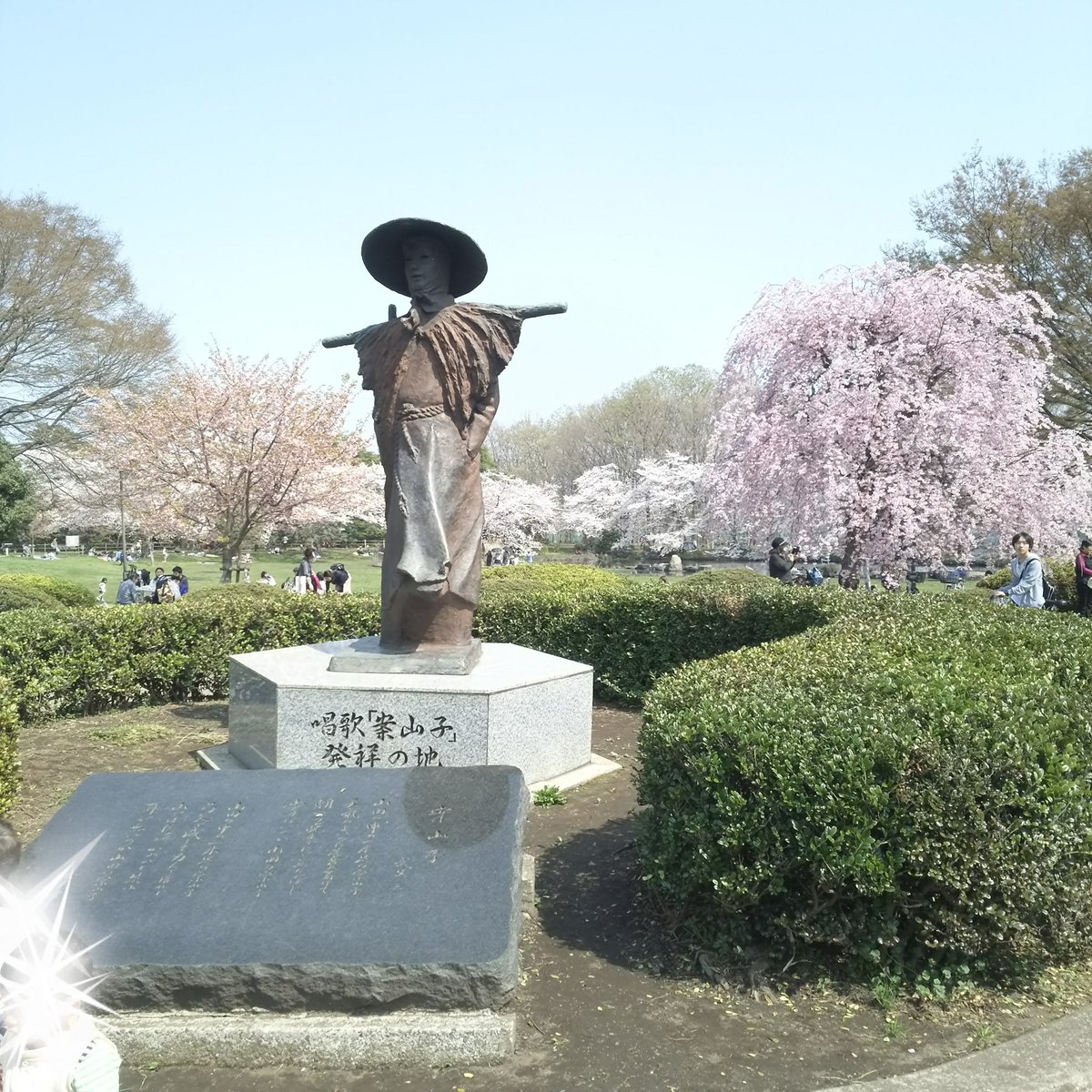 mama3905's tweet photo. 今日は桜を堪能してきました。
#東沼神社
#見沼氷川公園
#案山子の発祥地
#枝垂れ桜
 #女體神社 https://t.co/P1YoZCCUk4