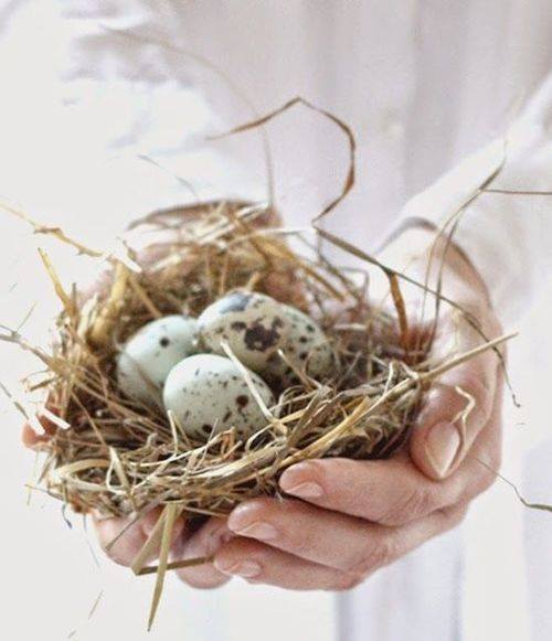 TheBlueAnchor's tweet photo. It's not took late to book your table for Easter! With beautifully crafted fish specials on Friday, Mini Egg Martini's and 20% off all Fizz, your Easter will be full of Joy https://t.co/hpXvpGxpvv