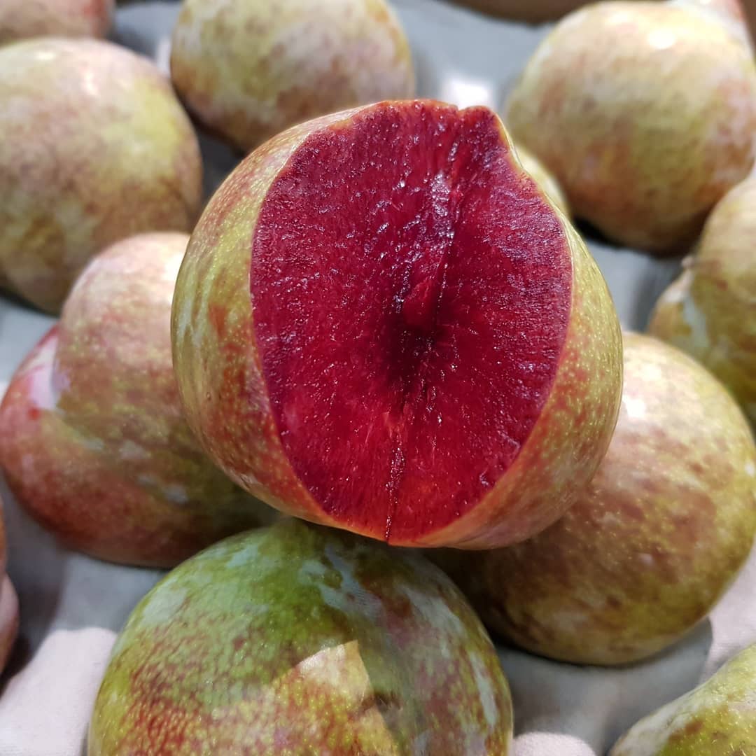 PFoodsWholesale's tweet image. Some exclusive range of products at Premier Fruits. Tomato noire we crimee, Plum green red, Tomato gusto. For enquiry sales@premierfruits.com #asfreshasitgets