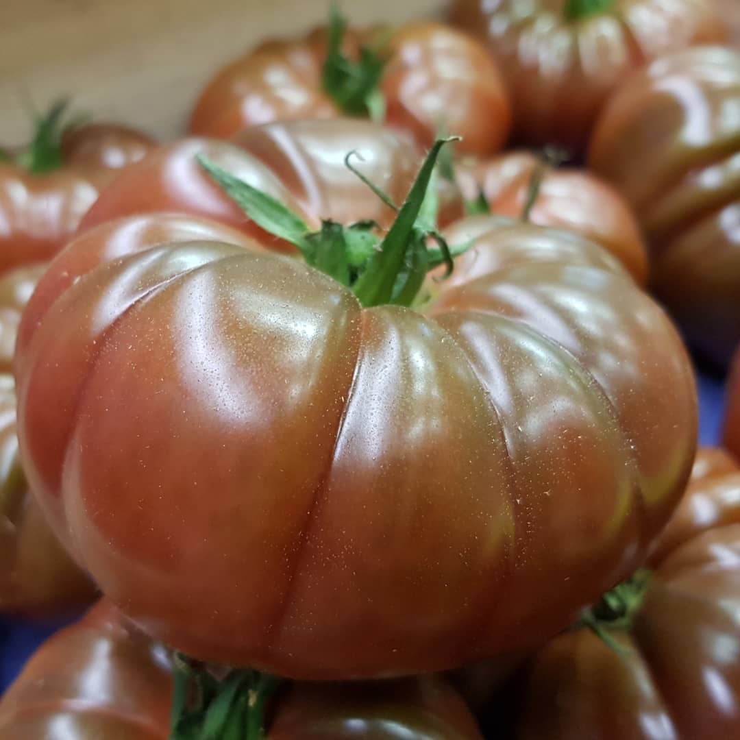 PFoodsWholesale's tweet image. Some exclusive range of products at Premier Fruits. Tomato noire we crimee, Plum green red, Tomato gusto. For enquiry sales@premierfruits.com #asfreshasitgets