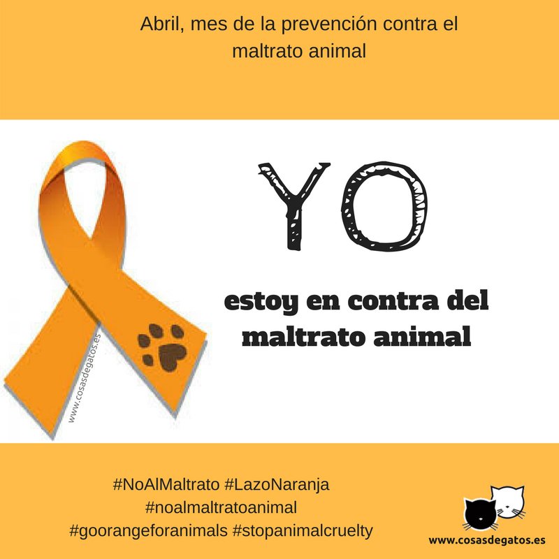 CosasdeGatosweb's tweet photo. Estamos en el mes contra el maltrato animal

¿Ya has compartido el lazo naranja?
https://t.co/TH2P7CTLj3

#NoAlMaltrato #LazoNaranja 
#noalmaltratoanimal #goorangeforanimals #stopanimalcruelty #FelizLunes https://t.co/yxc0OVurKA
