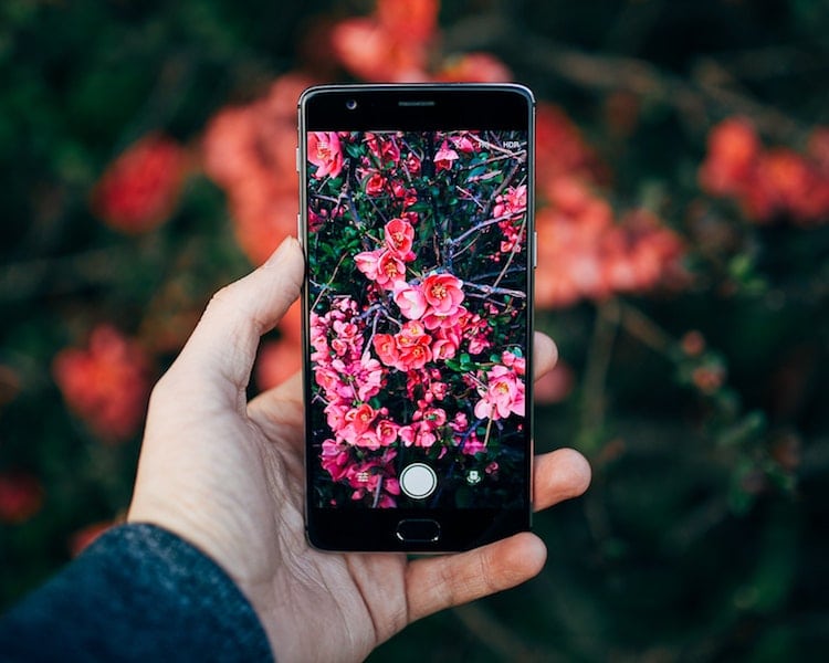 New app Seek lets you identify animals and plants from your photos through image recognition technology ☺️🌺 A similar concept to Shazam, we love this new way of learning more about nature 🌷🍃
