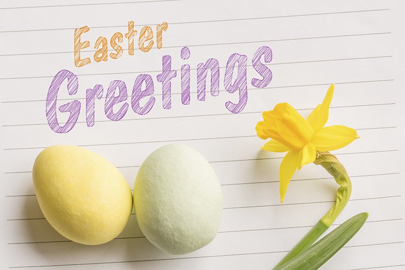 polarpx's tweet image. Have a nice Easter everyone.
#Easter #holidays #eastergreeting