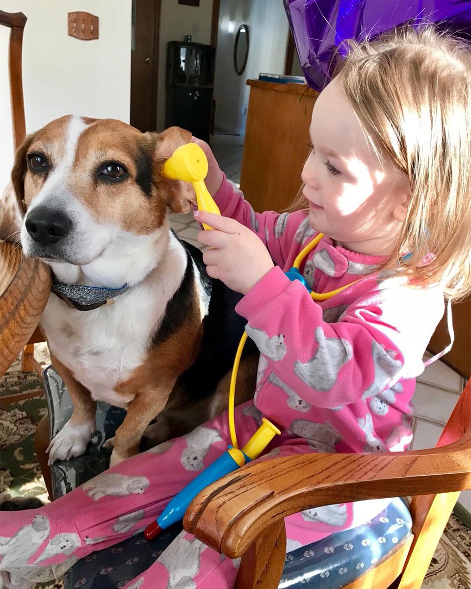 Muttigree's tweet image. Playing doctor with Lil' Bit! #playingdoctor #muttigreemoment #muttigree #muttigrees #woofwednesday