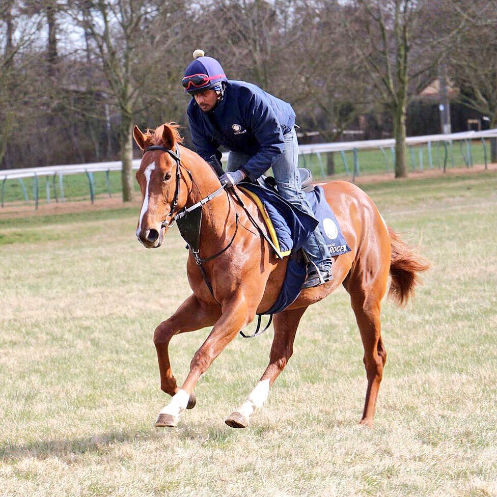 GEORGE FORMBY: We are delighted to welcome @ChelseaTbreds to our yard! This 2yo colt is by Mayson, and was purchased by Amanda Skiffington at @tatts_ireland. @EMMA_SPENCER @JamesRamsden_ @CPStudOfficial #georgeformby #chelseathoroughbreds #poweredbyPolRoger 🥂
