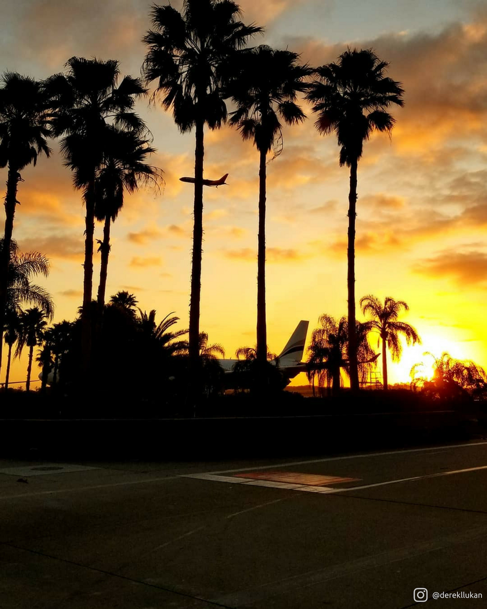 MCO's tweet photo. This is how we woke up. #ThisIsOrlando https://t.co/q4NRXohNuH