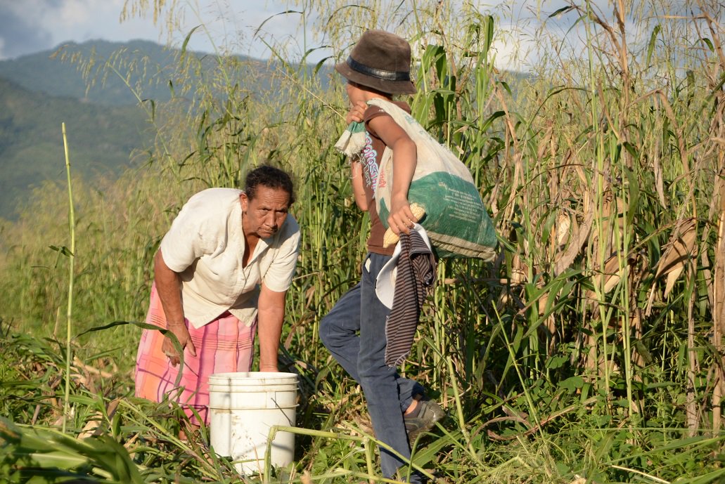 RodrigzTuit's tweet photo. A 159 años de su fundación nuestro estado se levanta en unión y trabajo para labrar el futuro de los más pequeños #28DeMarzoDiaDelEstadoYaracuy https://t.co/XMutZxCUnK