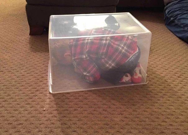 الطفل النعامه🦃 اين انا لن تجدوووووني😆