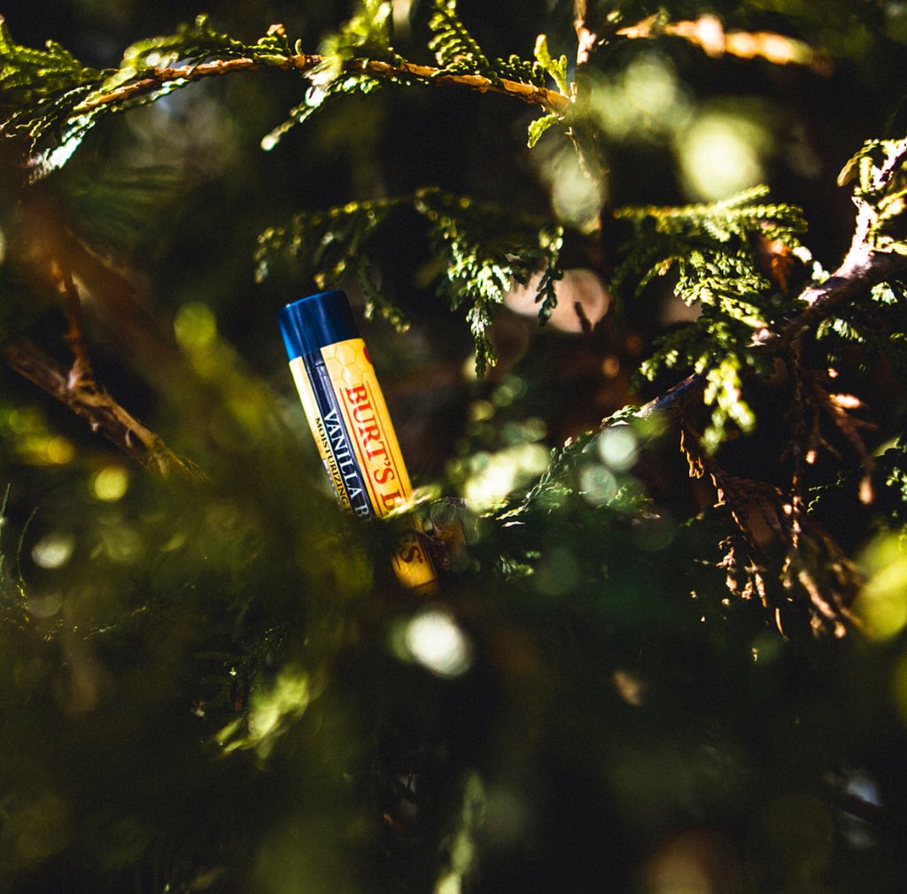 BurtsBees's tweet photo. Be a true force of nature in everything you do ๐๐ฒโ๏ธ #trueforceofnature | #Repost @generationeye: 100 % natural. #myburtsbees https://t.co/noYwpDM5Mt