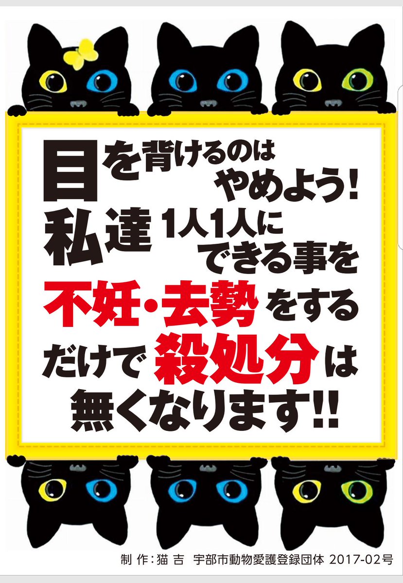 Nekokichi Di Twitter 拡散希望 この度 宇部市監修の元 宇部市動物愛護団体 猫吉 が 避妊去勢推進のポスターを作成致しました 山口県はまだまだ 飼い猫の避妊去勢すらも 徹底されていない 意識の低い県と言わざるを得ません このポスターを通じて 1人でも多く