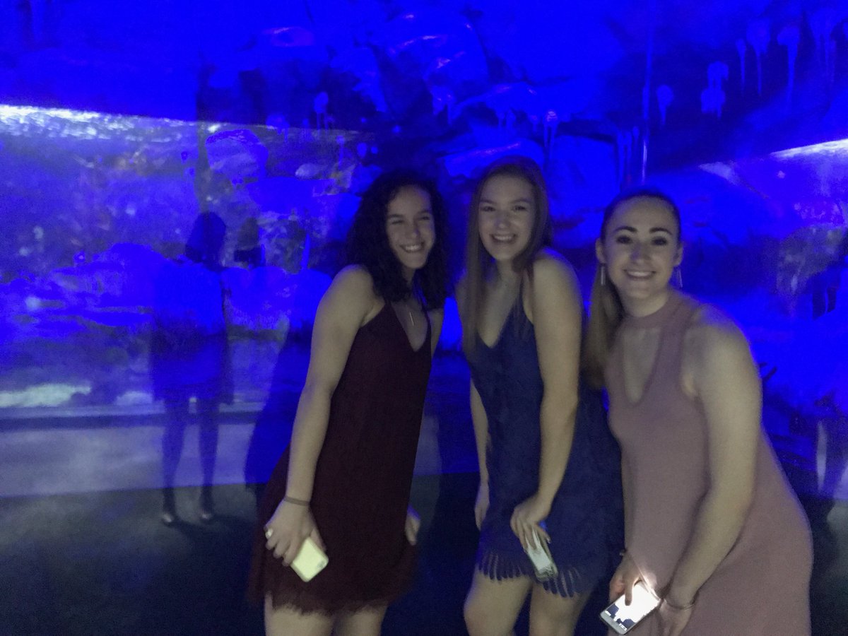 gabbygevaudan's tweet image. hbd @AnnaTassari !!  love u and miss u so much! can’t wait to see u soon! ❤️ #tatevibes