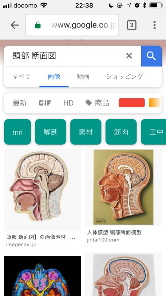 コイル男 人間の頭部の断面図見ると 鼻の奥めっちゃ広い て感じる 割と真ん中まで全部鼻 コイル男 人間の頭部の断面図見ると 鼻の奥めっちゃ広い て感じる 割と真ん中まで全部鼻