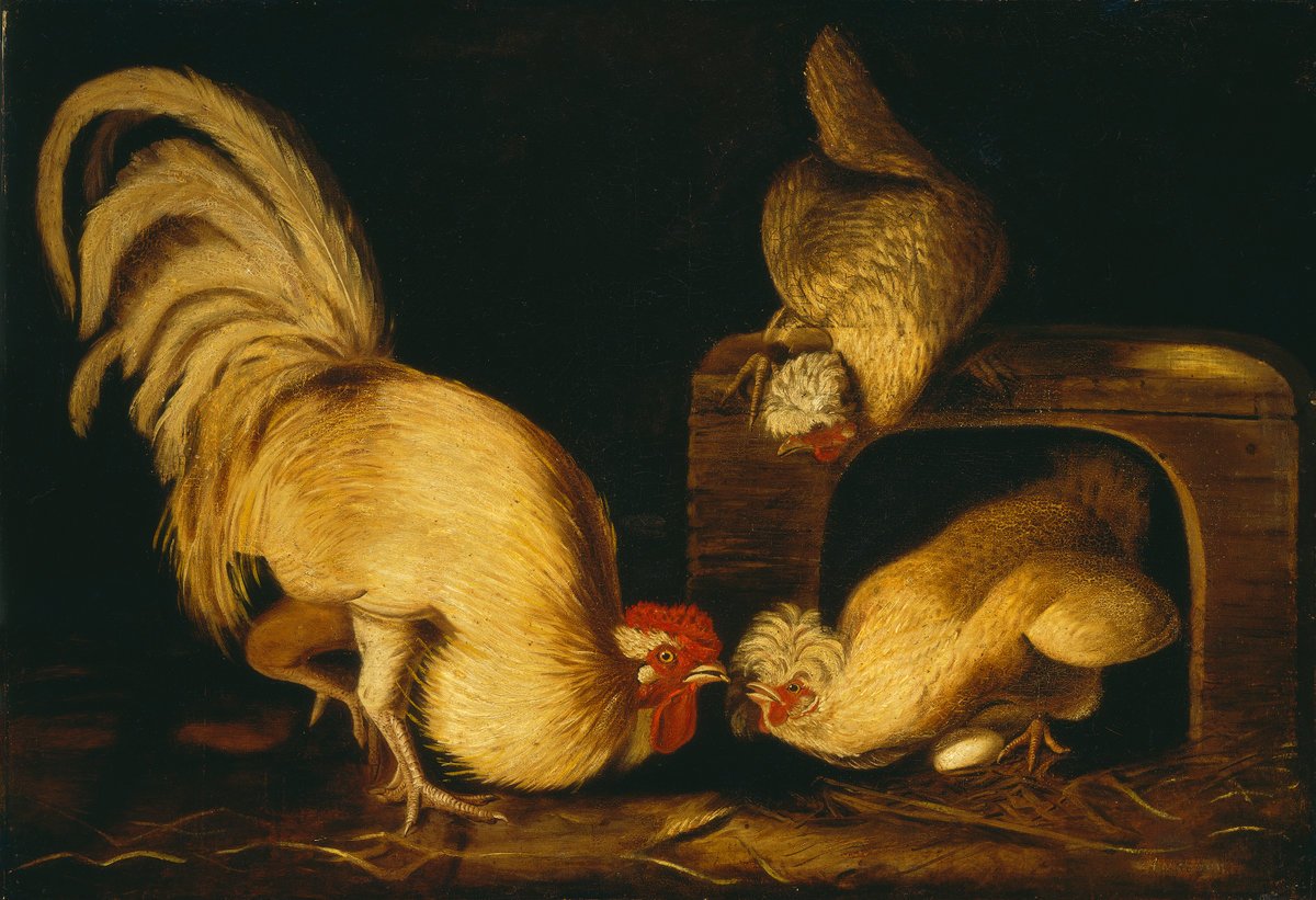 openaccessart's tweet photo. Farmyard Fowls by John James Audubon, c. 1827 #art #painting https://t.co/TYEye4jpqV