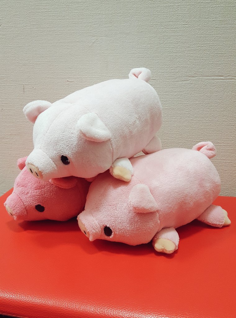 景品情報】「ふわふわPIGぬいぐるみ(全3種)」その名の通り、ふわふわの