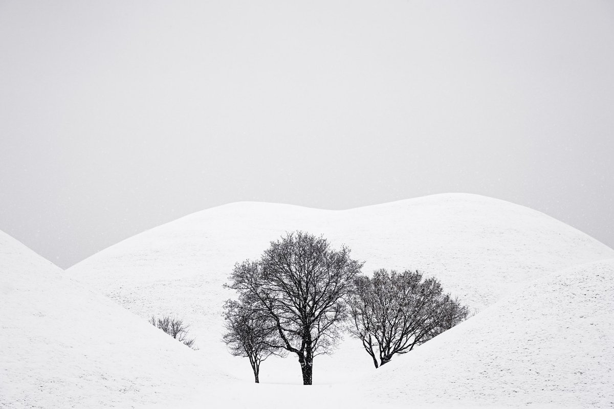 백🎗 tweet media