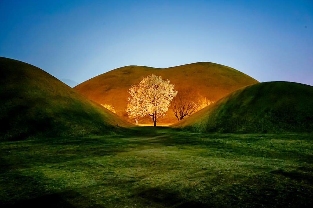 백🎗 tweet media