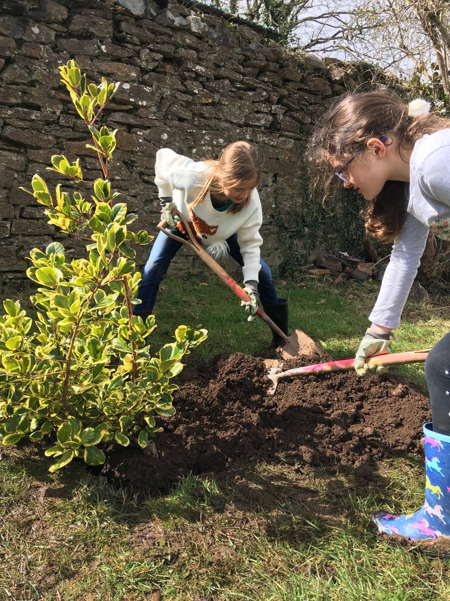 TJSchool3's tweet photo. What an amazing afternoon spent planting trees for our future! Well done Year 5. @TJSchool5 @JaneSargent17 @TreesforCities https://t.co/0MD0VPaHpo