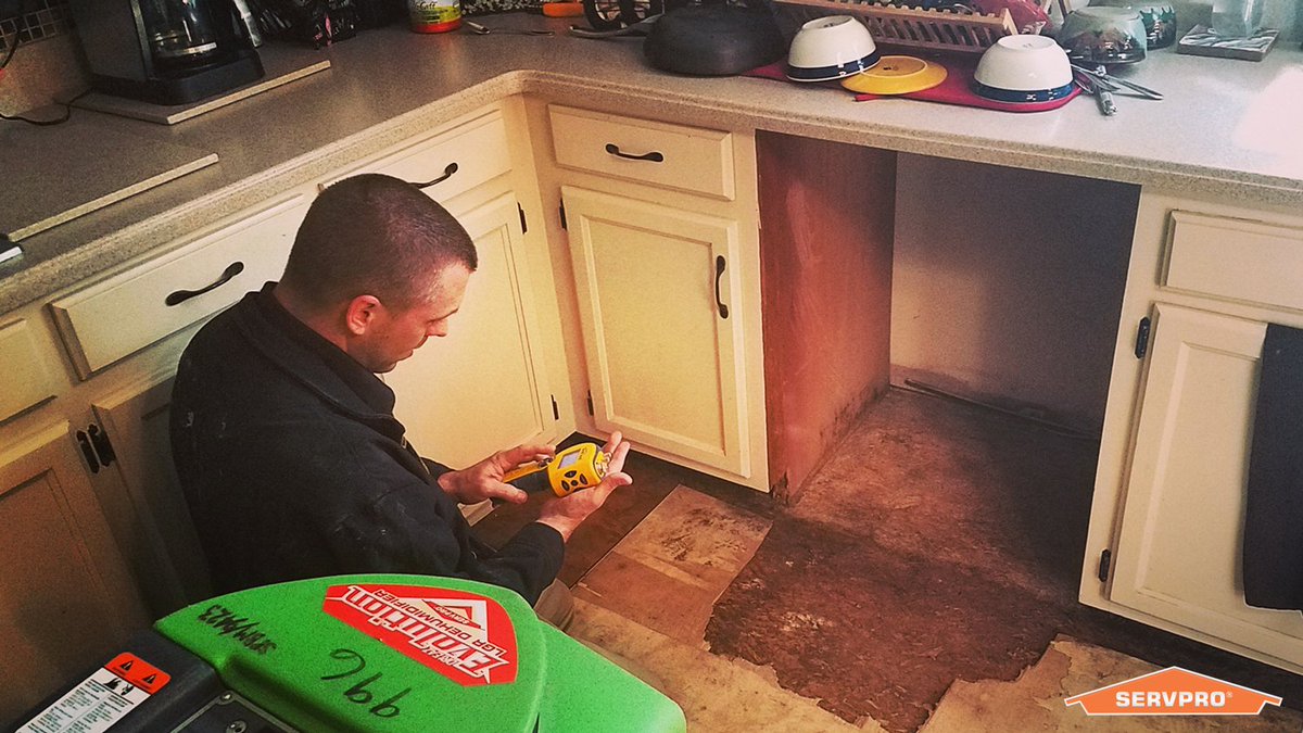 ServProOC's tweet image. Mold is no match for us. Our professionals use advanced water detection equipment to locate the source of the problem and remediate any mold or water damage.
