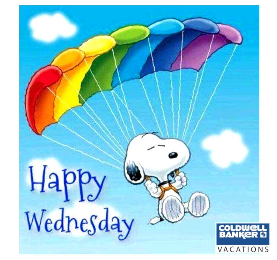 Happy Wednesday from Coldwell Banker Vacations !
capecoralvacations.com
cbfloridavacations.com
#capecoral #vacation #vacationrentals #swfl #LoveFL