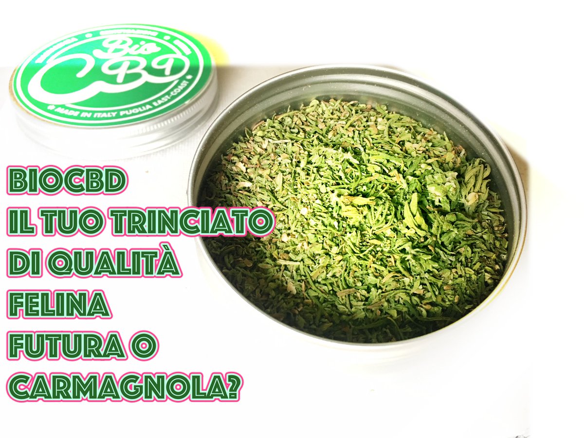 Bio_Cbd tweet picture
