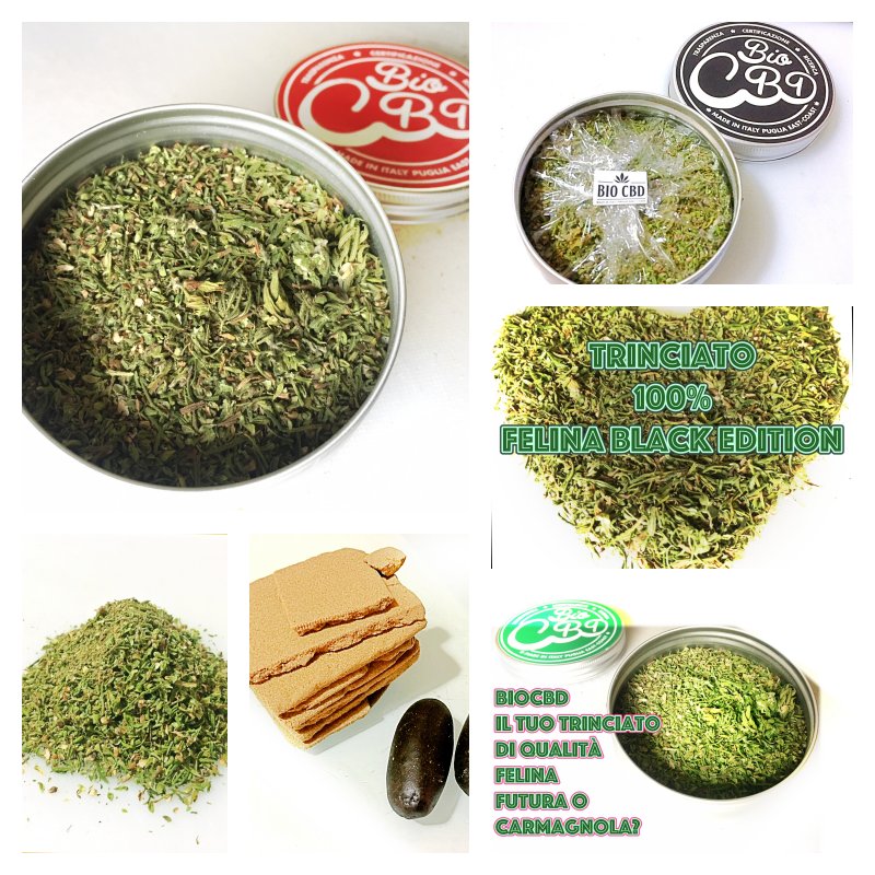 Bio_Cbd tweet picture
