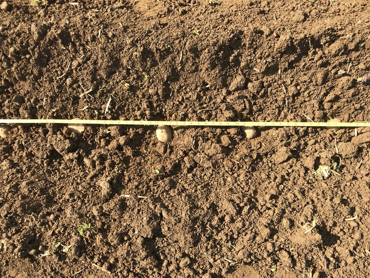 Let’s plant potatoes! #Handtohand# ShalomFarms <a href="/sagGEYER/">Steve Geyer</a> <a href="/DrJRaley/">Dr. Jeremy Raley</a>