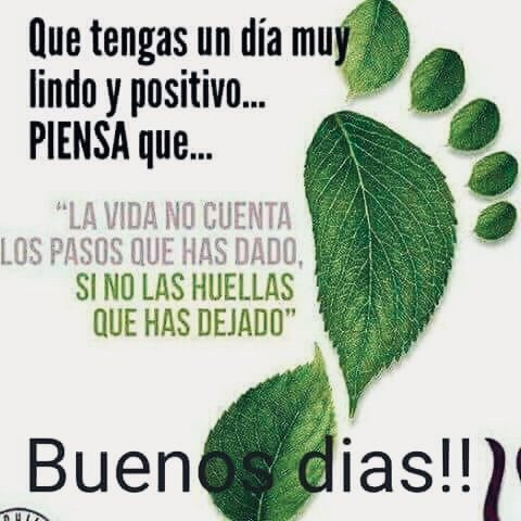 <a href="/EligioDS/">Elig</a> 
Saludos